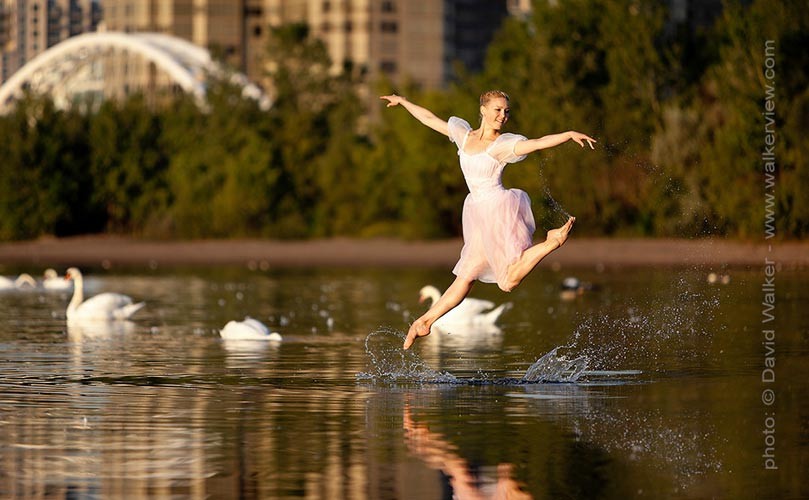 Tonya Milne jumping from the lake with swans by David Walker dance photographer.