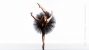 Ballet Dancer Toronto Canada photographer David Walker
