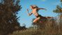 Summer Field Dancer Toronto Canada portrait photographer David Walker